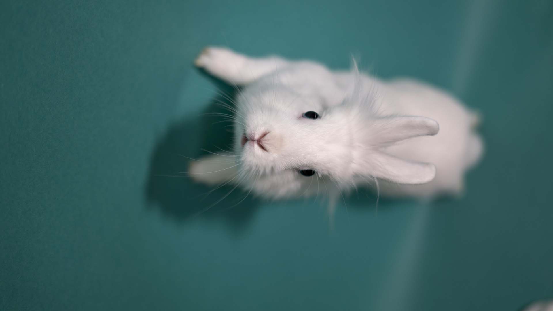 Bun02